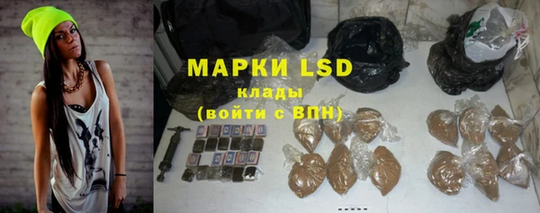 хмурый Корсаков