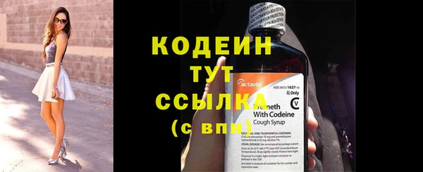 хмурый Корсаков