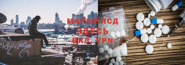 хмурый Корсаков