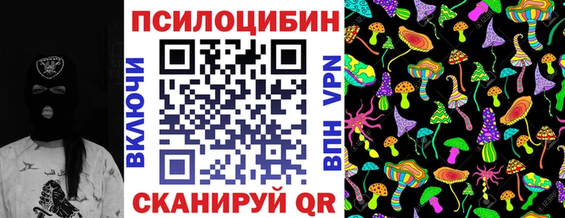 Купить где  Почеп  Галлюциногенные грибы прущие грибы 